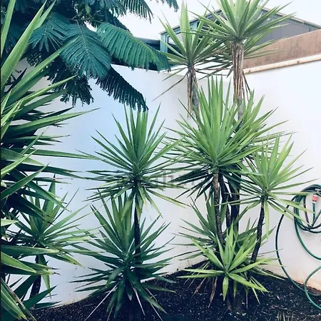 Casa Estrella De Mar Costa Teguise